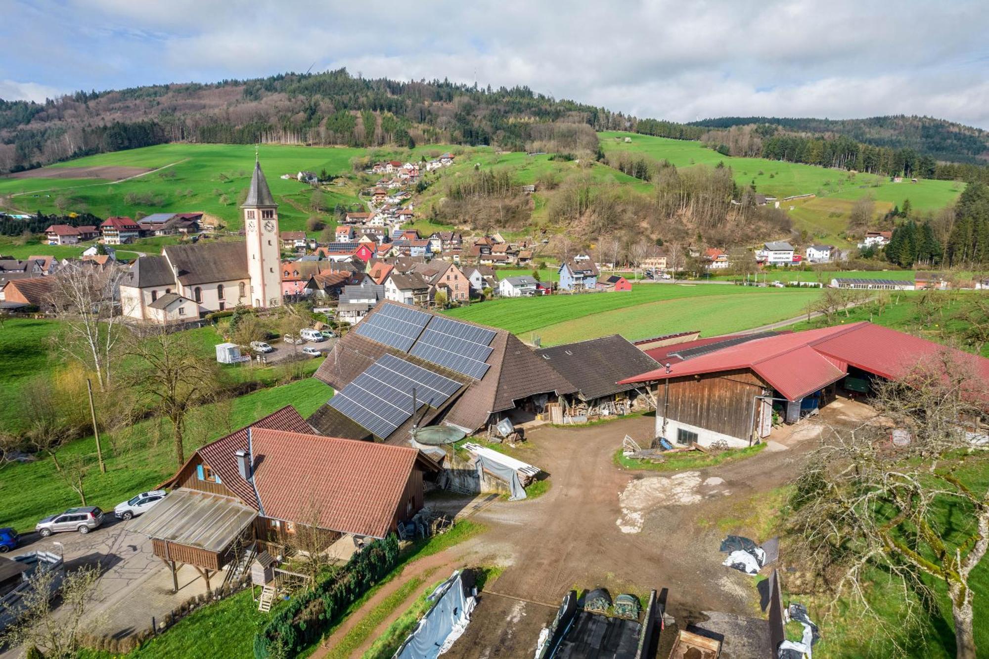 Apartamento Ziegelhof Schuttertal Exterior foto